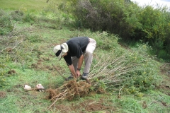 Earth Day Photo_broom1