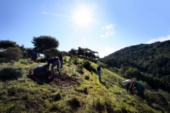 bald-hill-landscape-with-group-at-work