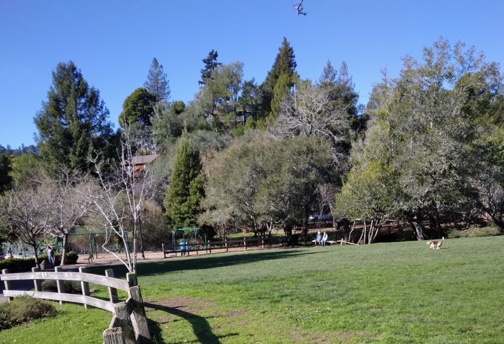 Adopted spot at Boyle Park